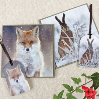 Christmas Cards & Gift Tags