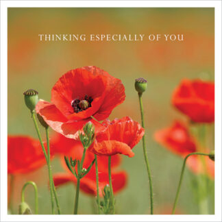 P25 POPPIES  (THINKING ESPECIALLY OF YOU)