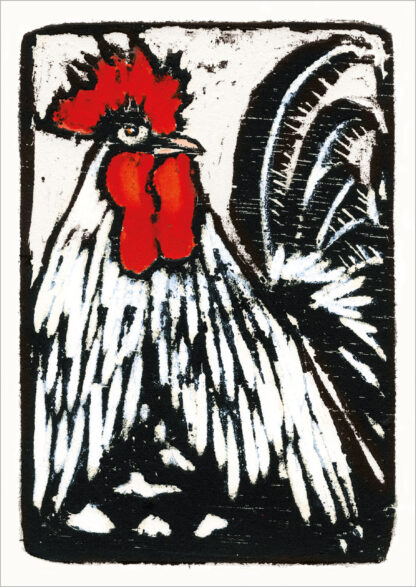 TF01 COOPER - COCKEREL