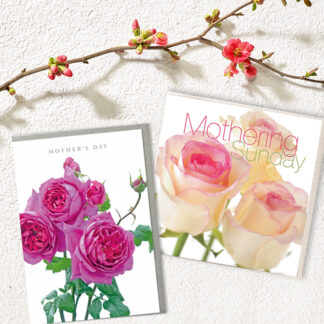 Mother's Day Cards